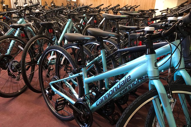 Brooklyn Neighborhoods Small-Group Bike Tour - Insider Tips
