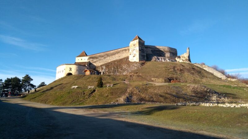 Brown Bear Sanctuary, Bran Castle & Rasnov Fortress Day Tour - Brown Bear Sanctuary