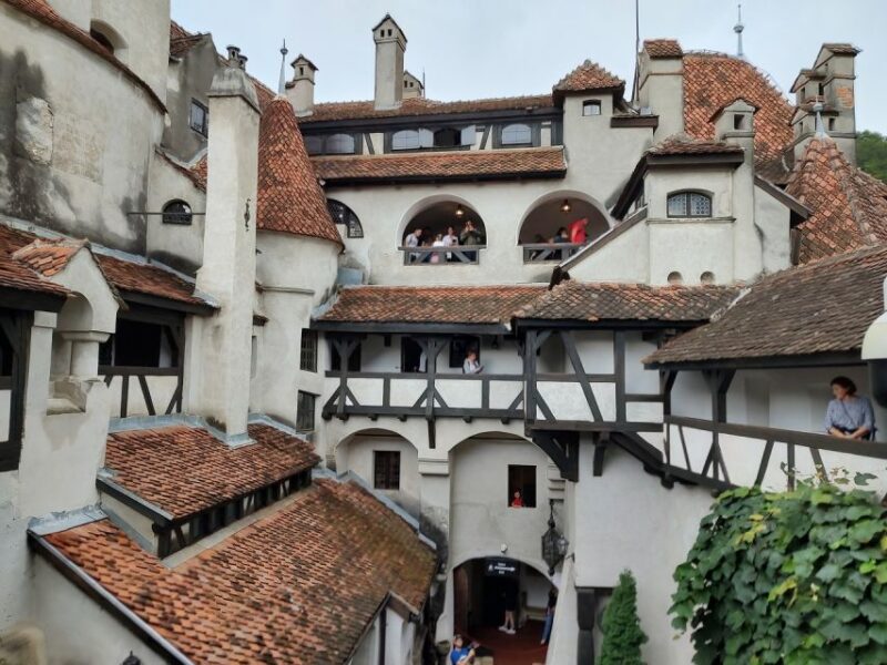 Brown Bear Sanctuary, Bran Castle & Rasnov Fortress Day Tour - Rasnov Fortress