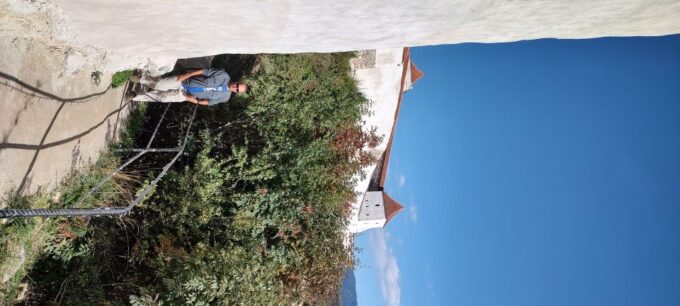 Brown Bear Sanctuary, Bran Castle & Rasnov Fortress Day Tour - Experience and Features