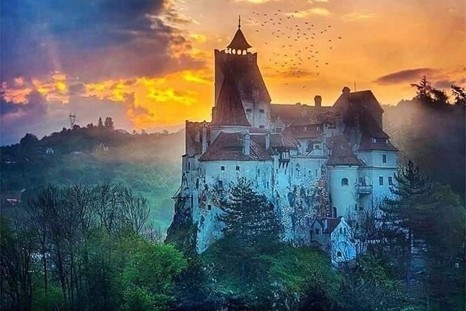 Brown Bear Sanctuary, Rasnov Fortress and Bran Castle Tour From Brasov - Liberty Bear Sanctuary Visit