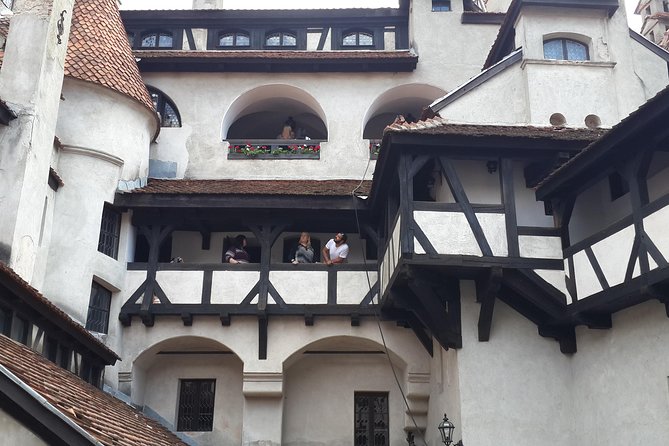 Brown Bear Sanctuary, Rasnov Fortress and Bran Castle Tour From Brasov - Tour Accessibility and Recommendations