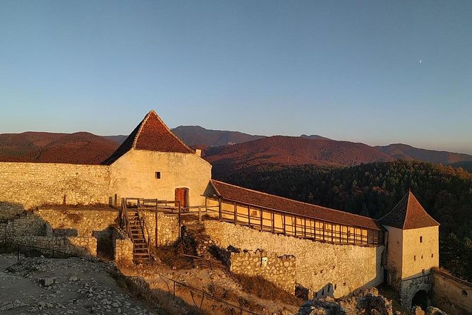 Brown Bear Sanctuary, Rasnov Fortress and Bran Castle Tour From Brasov - Traveler Reviews and Ratings