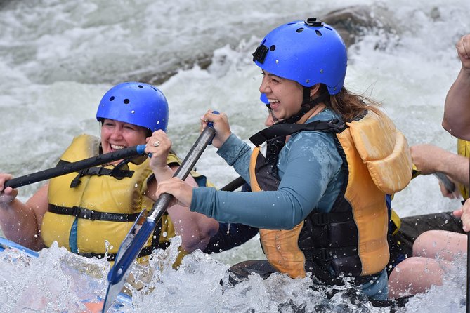 Browns Canyon Intermediate Rafting Trip Half Day - Wildlife and Scenery