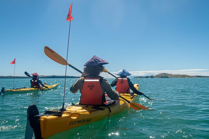 Browns Island Motukorea Sea Kayak Tour - Inclusions