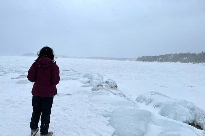 Bruce Peninsula Day Trip From Toronto - Explore Scenic Wetland Trails