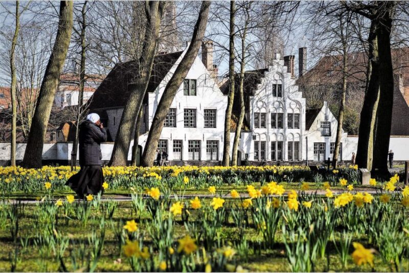 Bruges Beer and Chocolate Walking Tour - Key Points