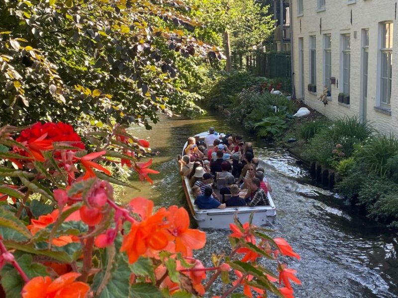Bruges Guided Walking Tour: Stories, Mysteries and People - Customer Experience