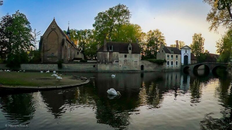 Bruges: Private Historical Highlights Walking Tour - Highlights and Experience