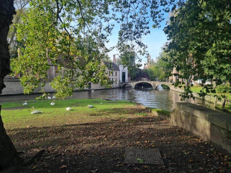 Bruges Through the Eyes of a Local, Small Private Group - Preparation and Accessibility