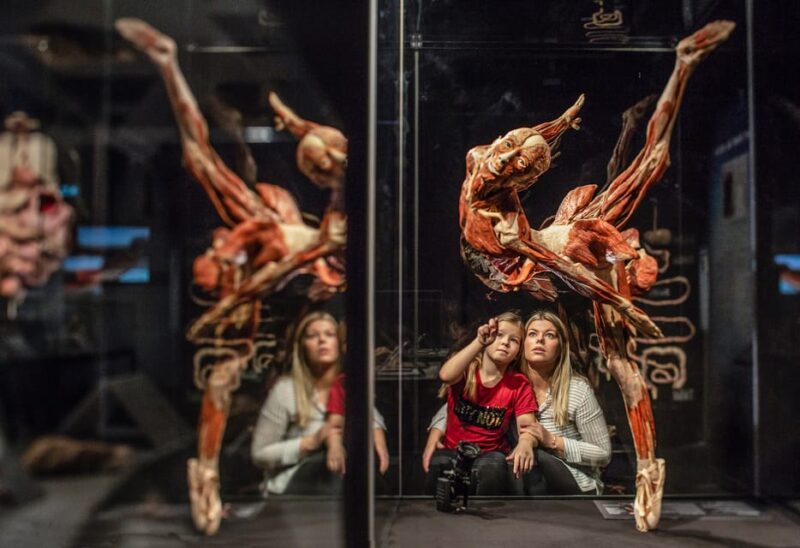 Bruges: Ticket to the Body Worlds Expo at the Oud Sint-Jan Site - Key Points