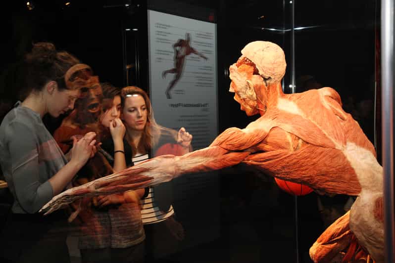Bruges: Ticket to the Body Worlds Expo at the Oud Sint-Jan Site - Body Donation and Global Impact