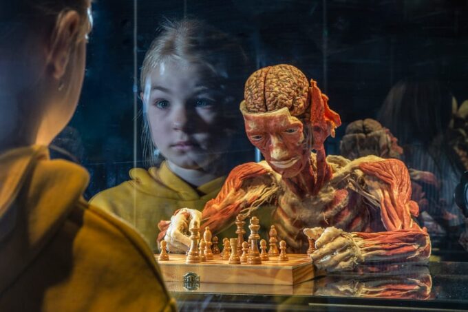 Bruges: Ticket to the Body Worlds Expo at the Oud Sint-Jan Site - Cancellation and Refund Policy