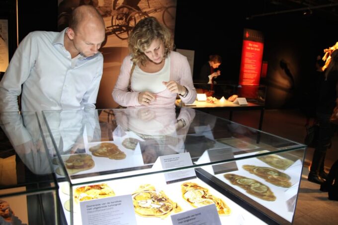 Bruges: Ticket to the Body Worlds Expo at the Oud Sint-Jan Site - Interactive Anatomical Mirror Exploration