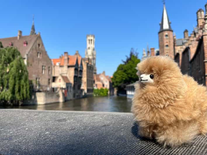 Bruges Walking and Tasting Tour - Experience Highlights