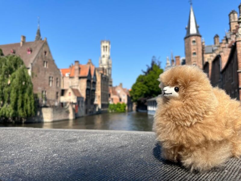 Bruges Walking and Tasting Tour - Itinerary and Key Locations