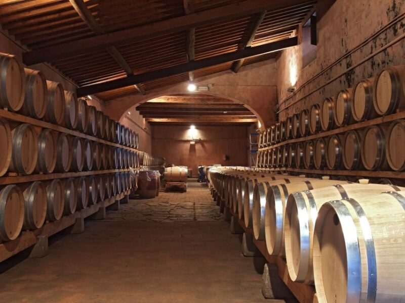 Brunello Di Montalcino Wine Tour From San Gimignano - Experience Highlights