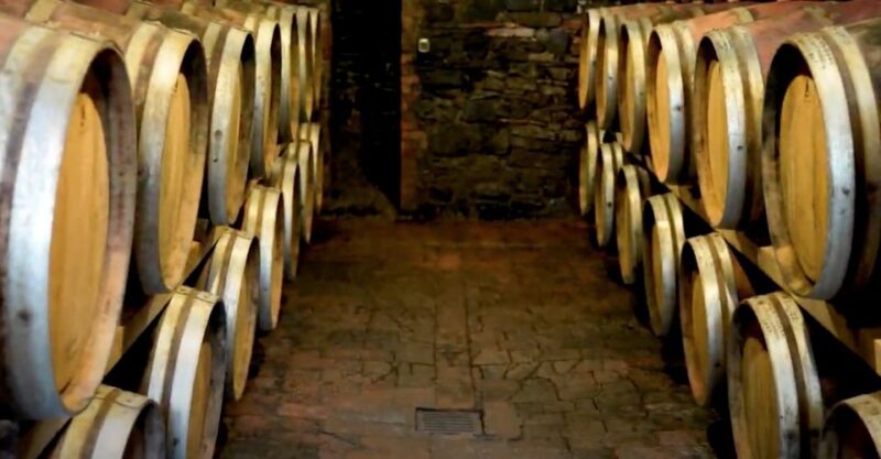 Brunello Di Montalcino Wine Tour From San Gimignano - Inclusions and Exclusions