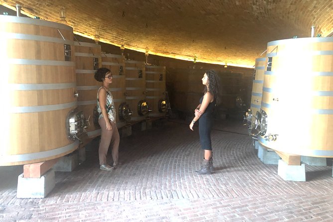 Brunello Di Montalcino Wine Tour of 2 Wineries With Pairing Lunch - Pickup and Transportation Details