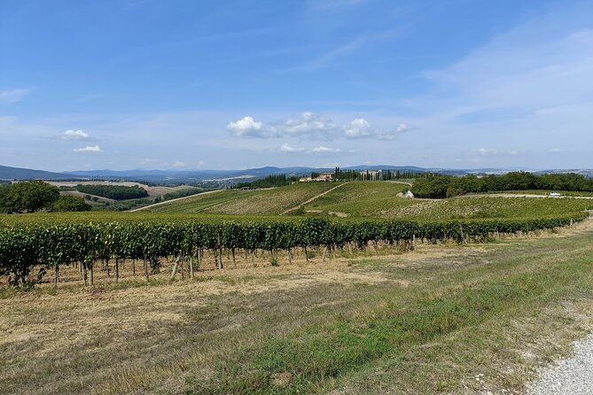 Brunello E-Bike Tour - Montalcino and Abbey Visit