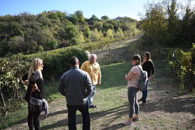 Brunello Vineyards Bus Tour - Tour Expectations