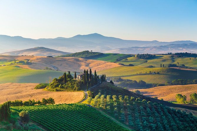 Brunello Wine Tasting From San Gimignano - Wine Tasting Experience