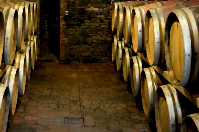 Brunello Wine Tasting From San Gimignano - Practical Information for Travelers