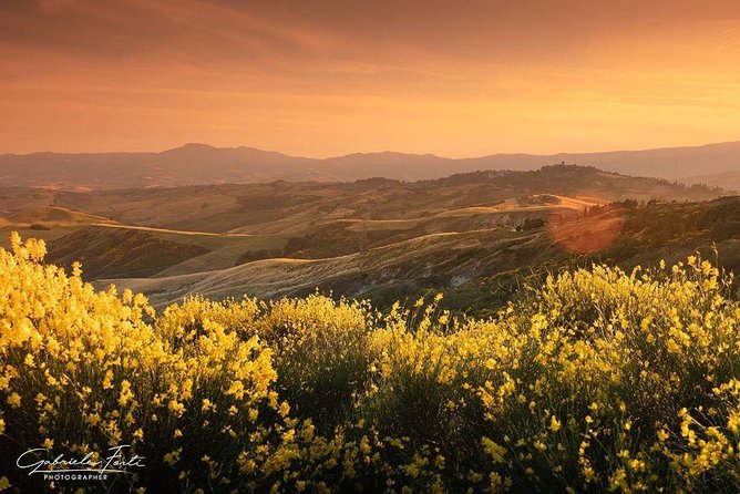 Brunello Wine Tour and Val D'orcia Landscape - Highlights of the Val Dorcia Region