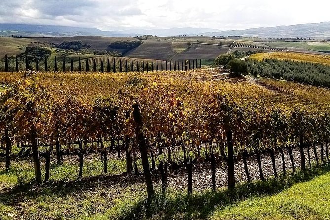 Brunello Wine Tour and Val D'orcia Landscape - Customizing Your Private Tour Experience