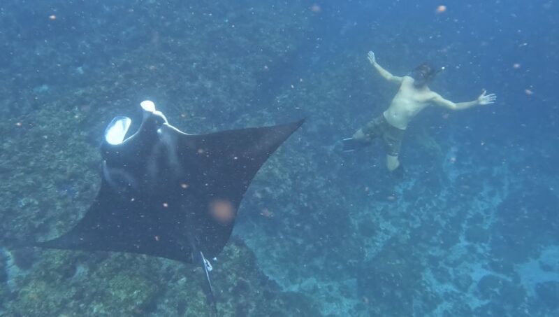 Brunswick Heads: Snorkeling Byron Bay Tour at Julian Rocks - Safety and Requirements