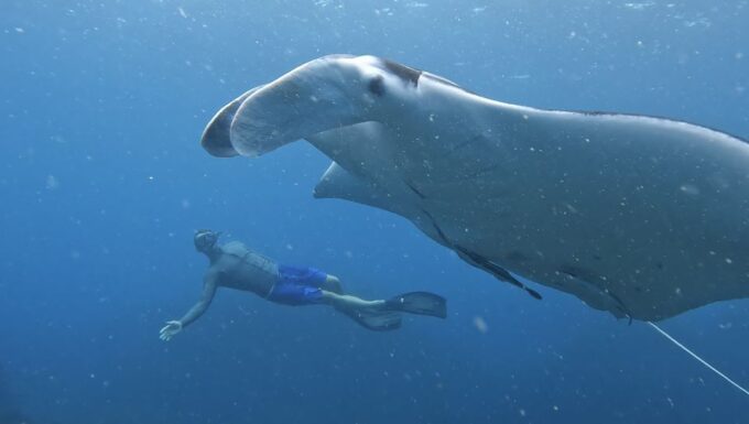 Brunswick Heads: Snorkeling Byron Bay Tour at Julian Rocks - Exploring Julian Rocks Nguthungulli
