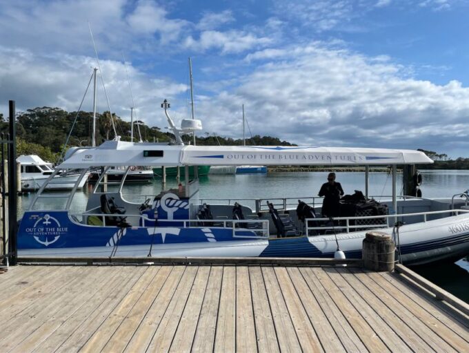 Brunswick Heads: Snorkeling Byron Bay Tour at Julian Rocks - Highlights of the Snorkeling Tour