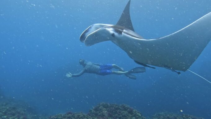Brunswick Heads: Snorkeling Byron Bay Tour at Julian Rocks - Recap