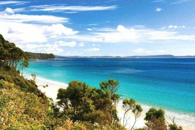 Bruny Island Day Tour Private Charter Service 3 days in advance - An In-Depth Look at the Bruny Island Private Tour