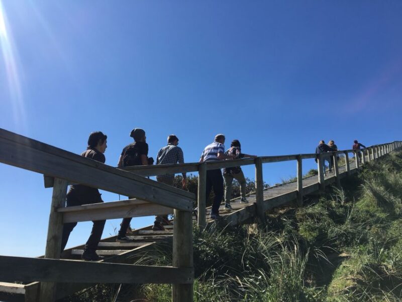 Bruny Island Day Trip From Hobart - Itinerary and Activities