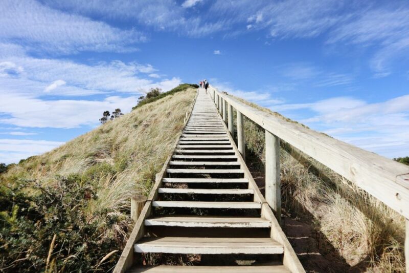 Bruny Island Day Trip From Hobart - Activity Requirements and Recommendations