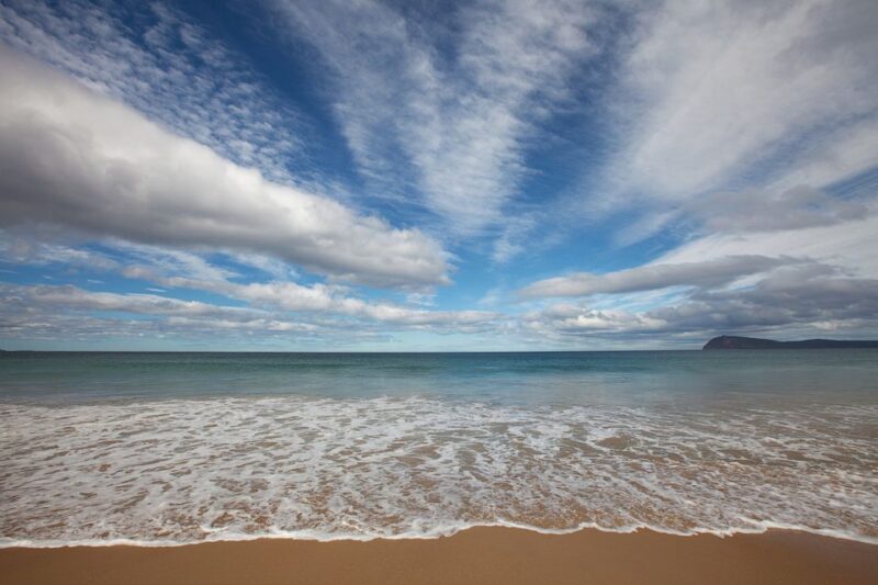 Bruny Island Day Trip From Hobart - Sampling Local Produce and Cuisine