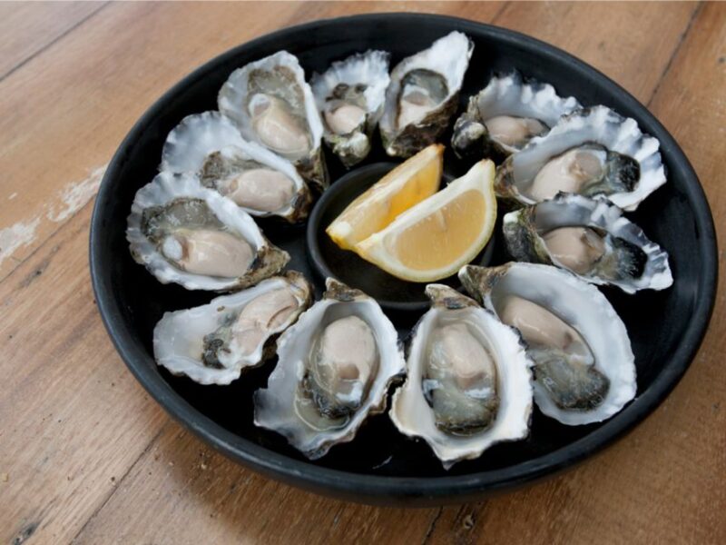 Bruny Island - Eat Drink and Explore - Pickup and Transportation