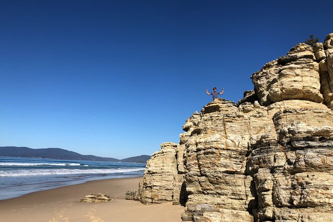 Bruny Island Nature and Tasting Active Day Tour - Savoring Local Culinary Delights