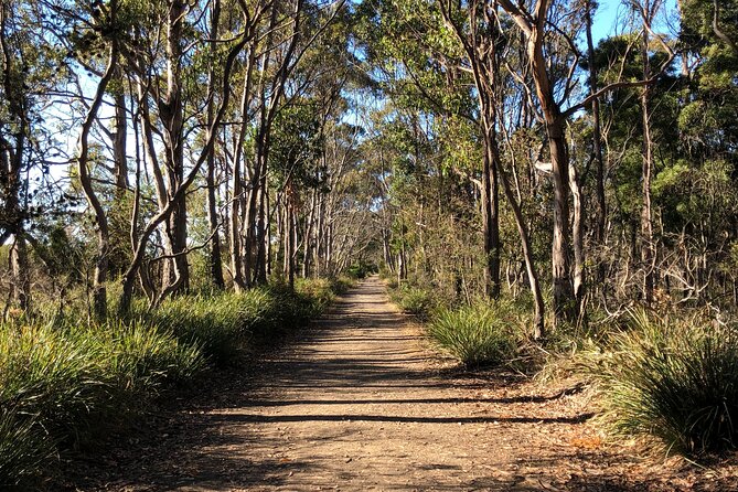 Bruny Island Nature and Tasting Active Day Tour - Capturing Stunning Photography Opportunities
