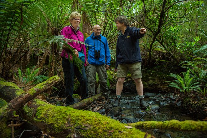 Bruny Island Traveller - Gourmet Tasting and Sightseeing Day Trip From Hobart - Scenic Stops and Nature Encounters