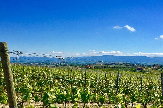 Brusca Wine Tour - Key Points
