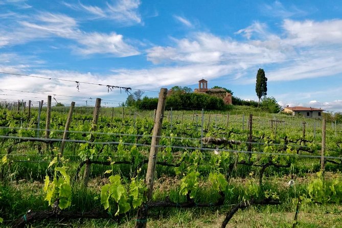 Brusca Wine Tour - What to Expect