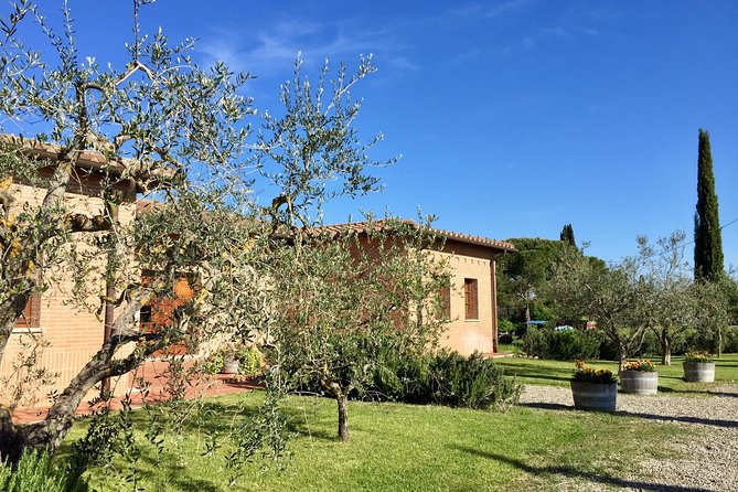 Brusca Wine Tour - Montepulciano Attractions