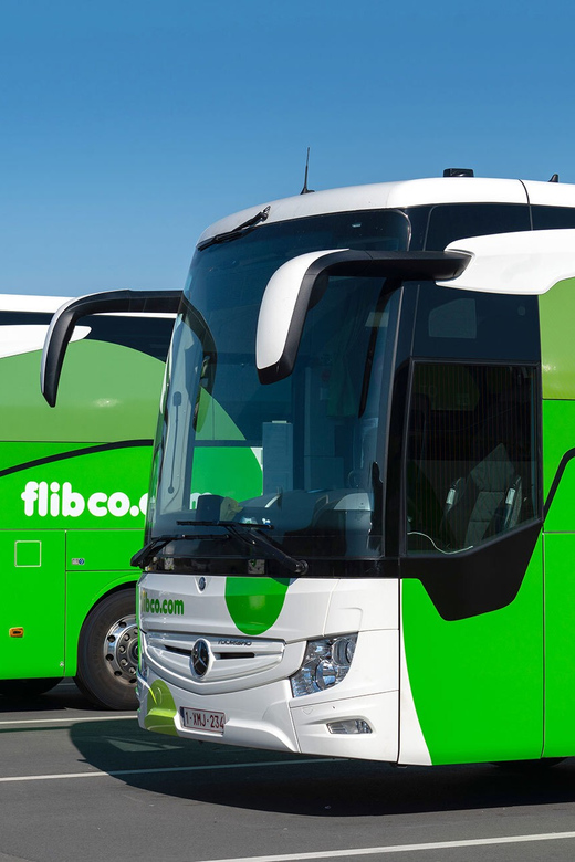Brussels Airport: Bus Transfer From/To Breda Netherlands - Key Points