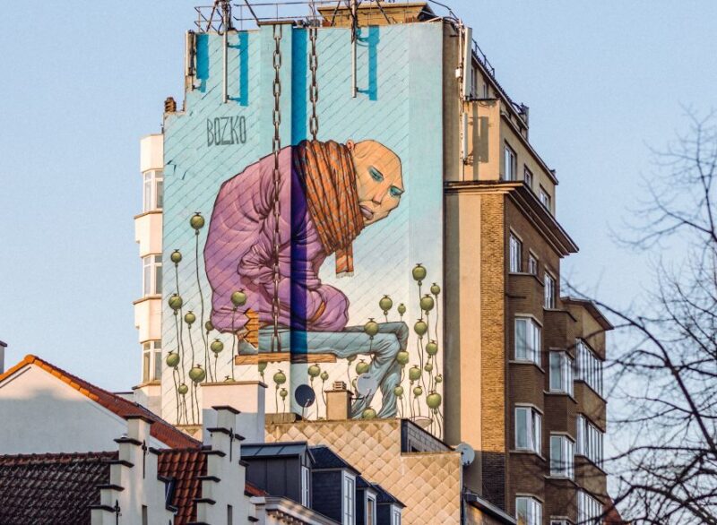 Brussels Comics & Street Art: Private Walking Tour - Important Information