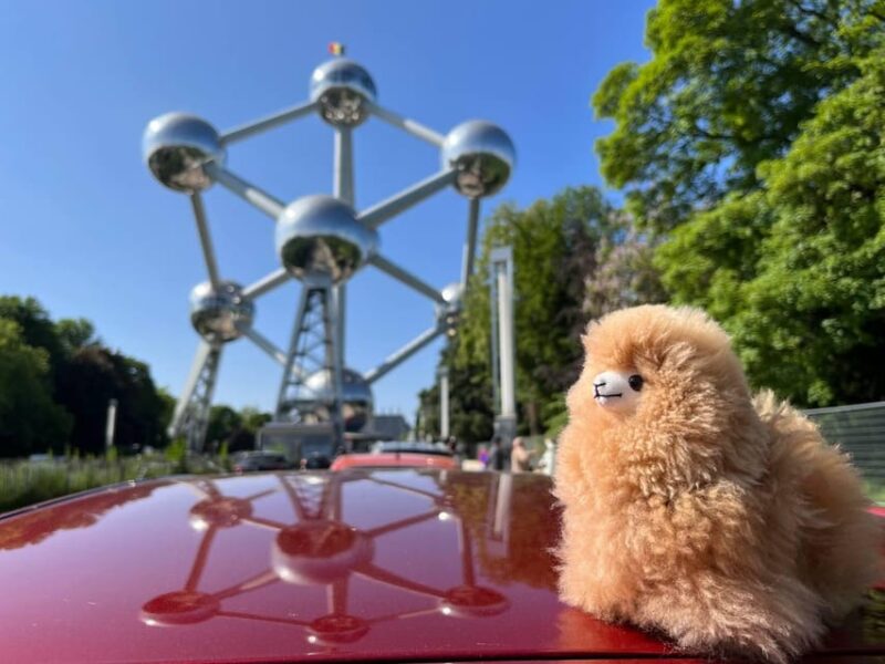 Brussels Day Trip From Paris or Amsterdam by Luxury Car - Key Points
