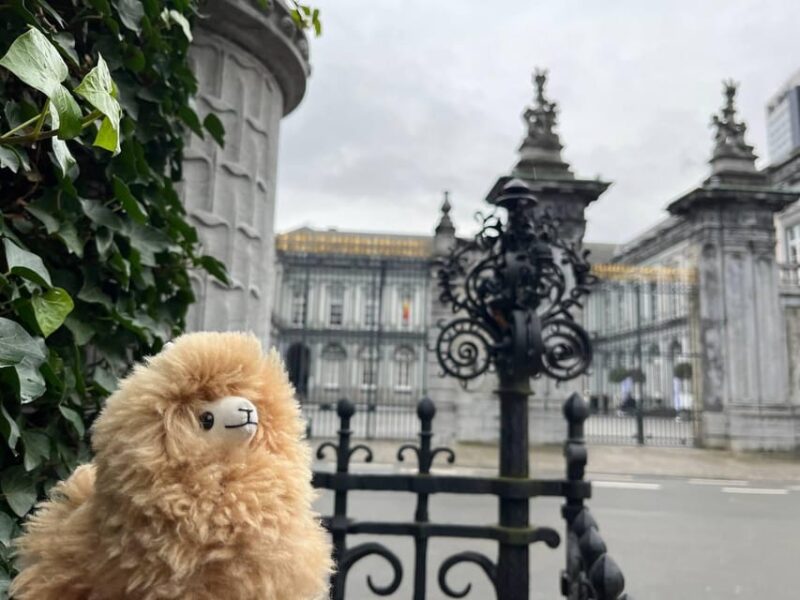 Brussels Day Trip From Paris or Amsterdam by Luxury Car - Itinerary Details