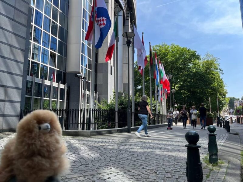 Brussels Day Trip From Paris or Amsterdam by Luxury Car - Tour Highlights