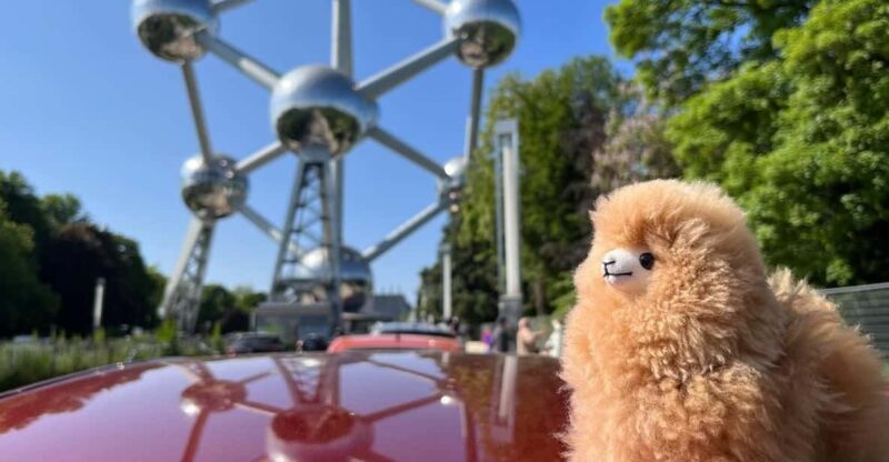 Brussels Day Trip From Paris or Amsterdam by Mini-Van - Transportation and Accessibility